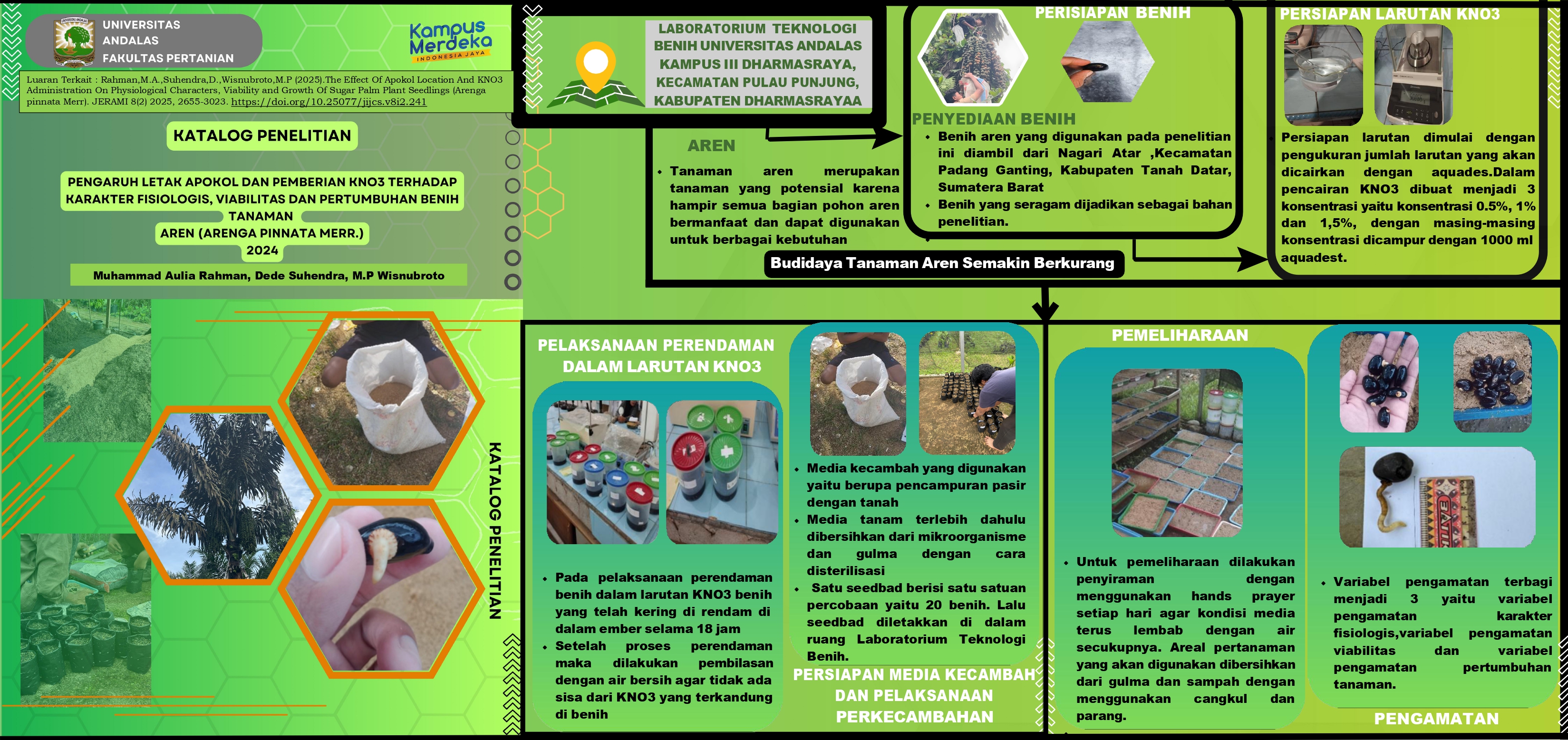 Pengaruh Letak Apokol dan Pemberian KNO3 Terhadap Karakter Fisiologis,Viabilitas dan Pertumbuhan Benih Tanaman Aren (Arenga pinnata Merr